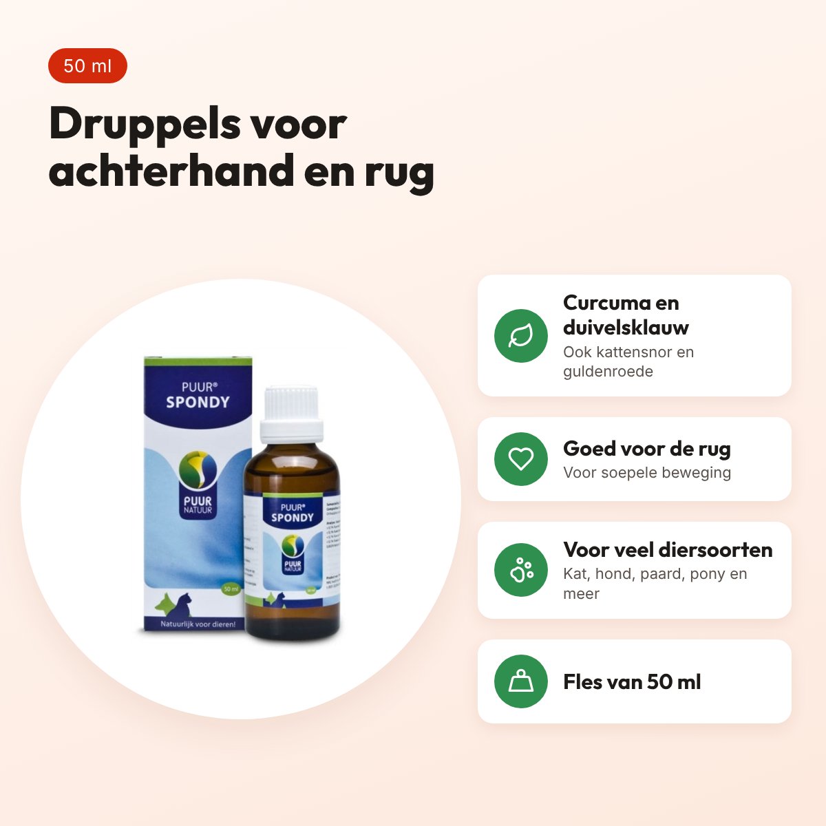 Puur Natuur Spondy druppels 50 ml – voor de achterhand en rug – voordelen