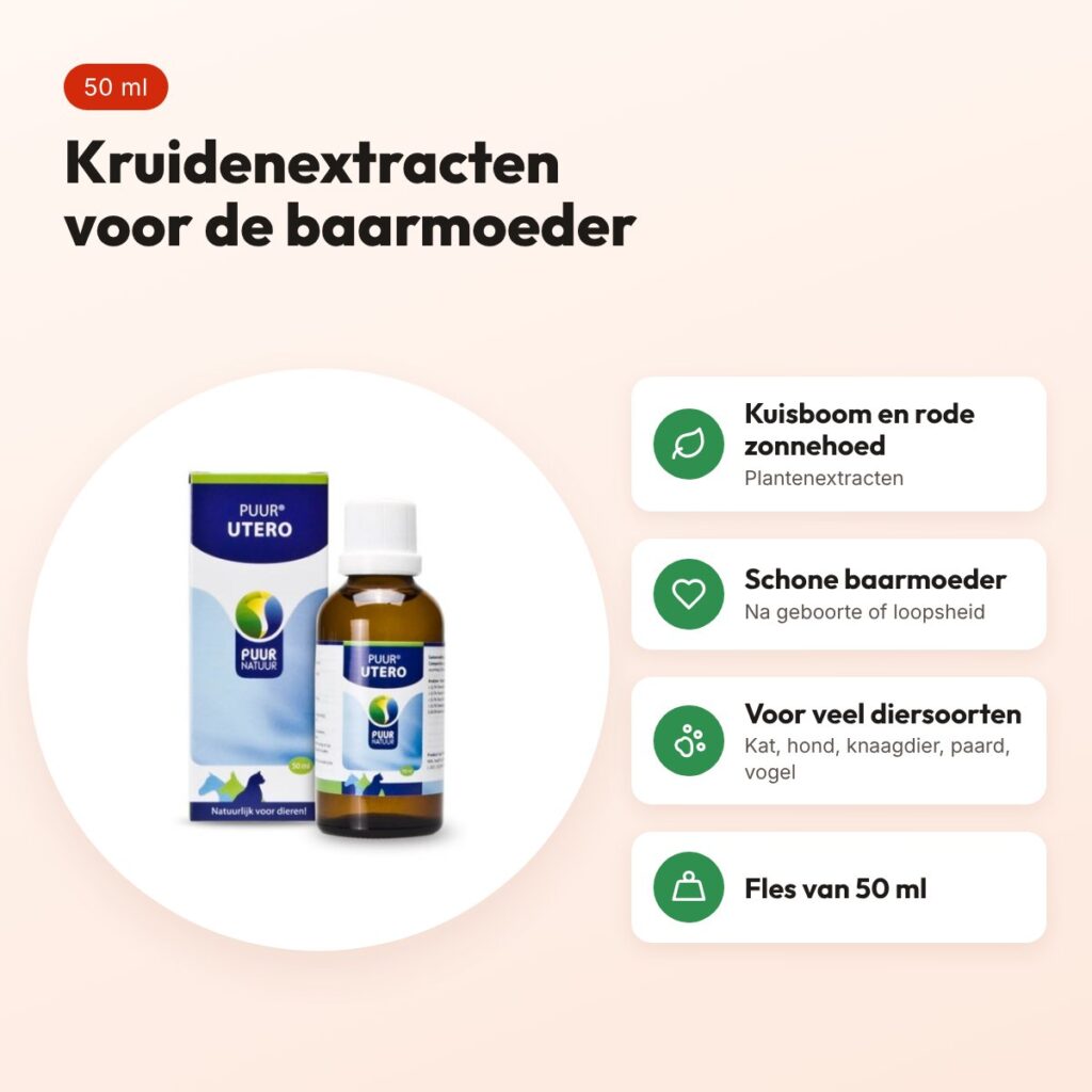 Puur Natuur Utero 50 ml – kruidenextracten voor een schone baarmoeder – voordelen
