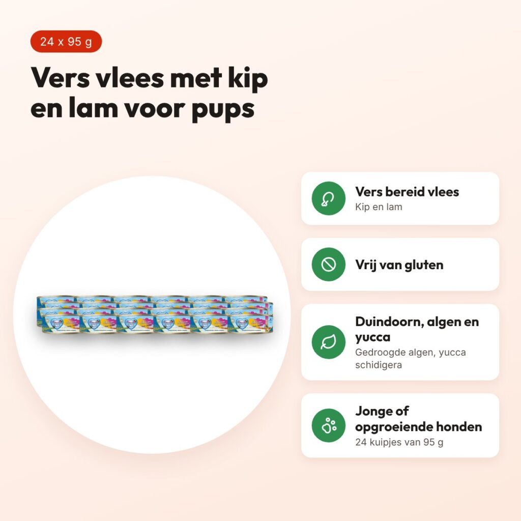 Renske hondenvoer Junior/Pup vers vlees kip en lam 24 x 95 g – voordelen