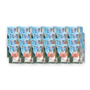 Renske hondenvoer vers bereide maaltijd zalm 24 x 185 g – glutenvrij