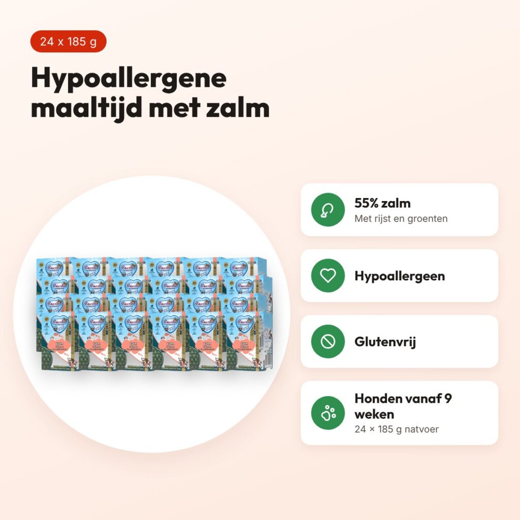 Renske hondenvoer vers bereide maaltijd zalm 24 x 185 g – glutenvrij – voordelen