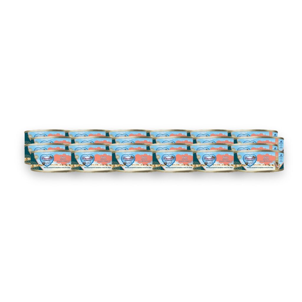 Renske hondenvoer vers vlees zalm 24 x 95 g – graanvrij