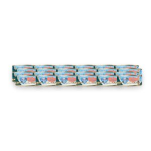 Renske hondenvoer vers vlees zalm 24 x 95 g – graanvrij