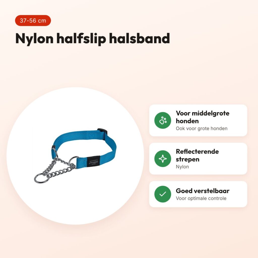 Rogz for Dogs Fanbelt halfslip halsband turquoise 20 mm – maat L, 37-56 cm – voordelen