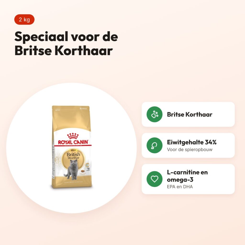 Royal Canin British Shorthair kattenvoer 2 kg – vanaf 12 maanden – voordelen