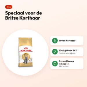 Royal Canin British Shorthair kattenvoer 2 kg – vanaf 12 maanden – voordelen