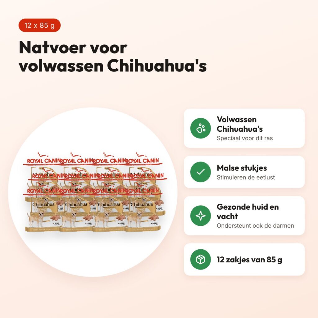 Royal Canin Chihuahua natvoer 12 x 85 g – malse stukjes, volwassen – voordelen