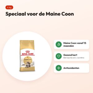 Royal Canin Maine Coon kattenvoer 4 kg – vanaf 15 maanden – voordelen