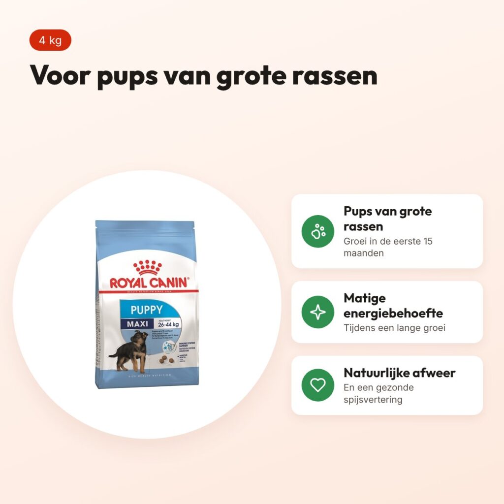 Royal Canin Maxi Puppy hondenvoer 4 kg – grote rassen – voordelen