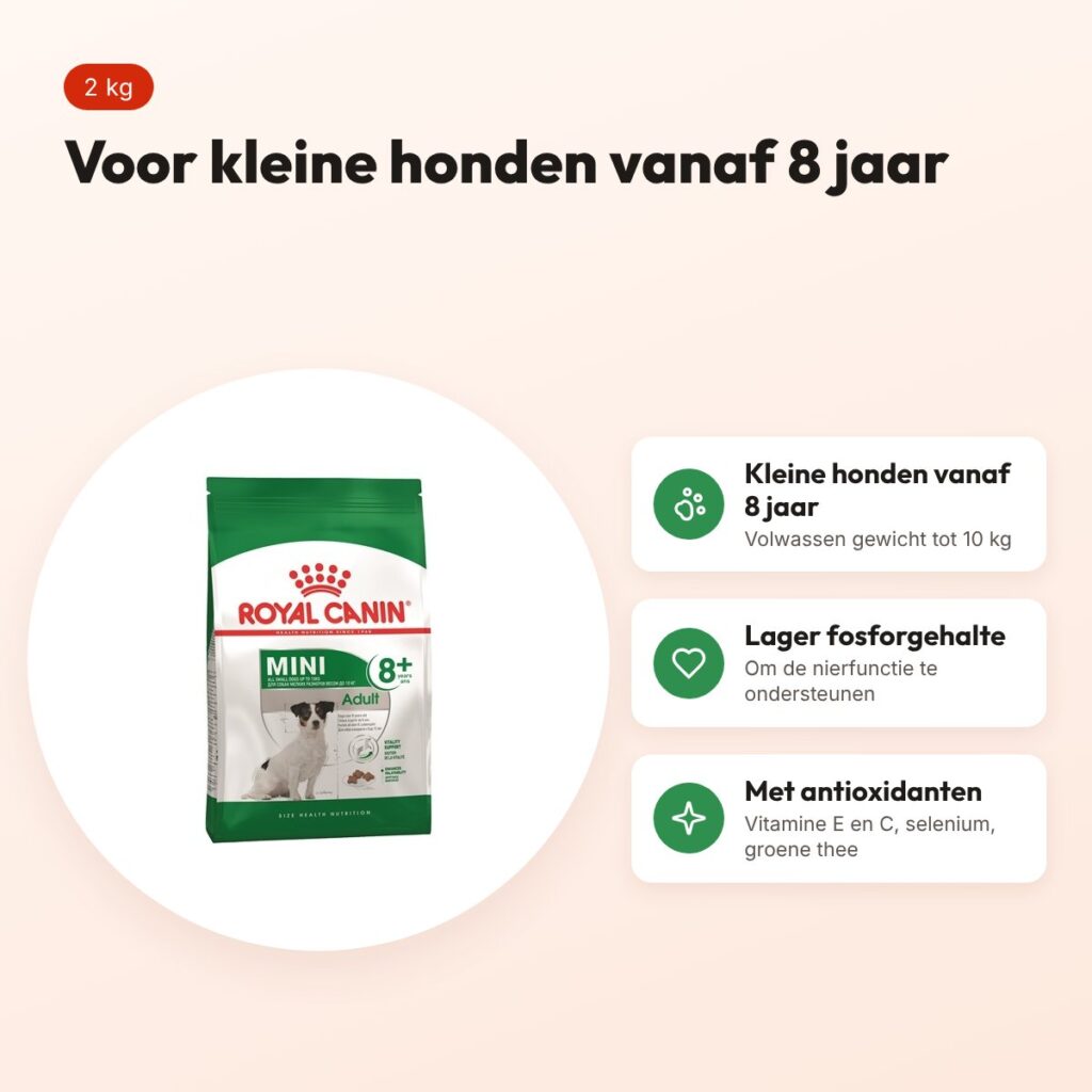 Royal Canin Mini Adult 8+ hondenvoer 2 kg – met antioxidanten – voordelen