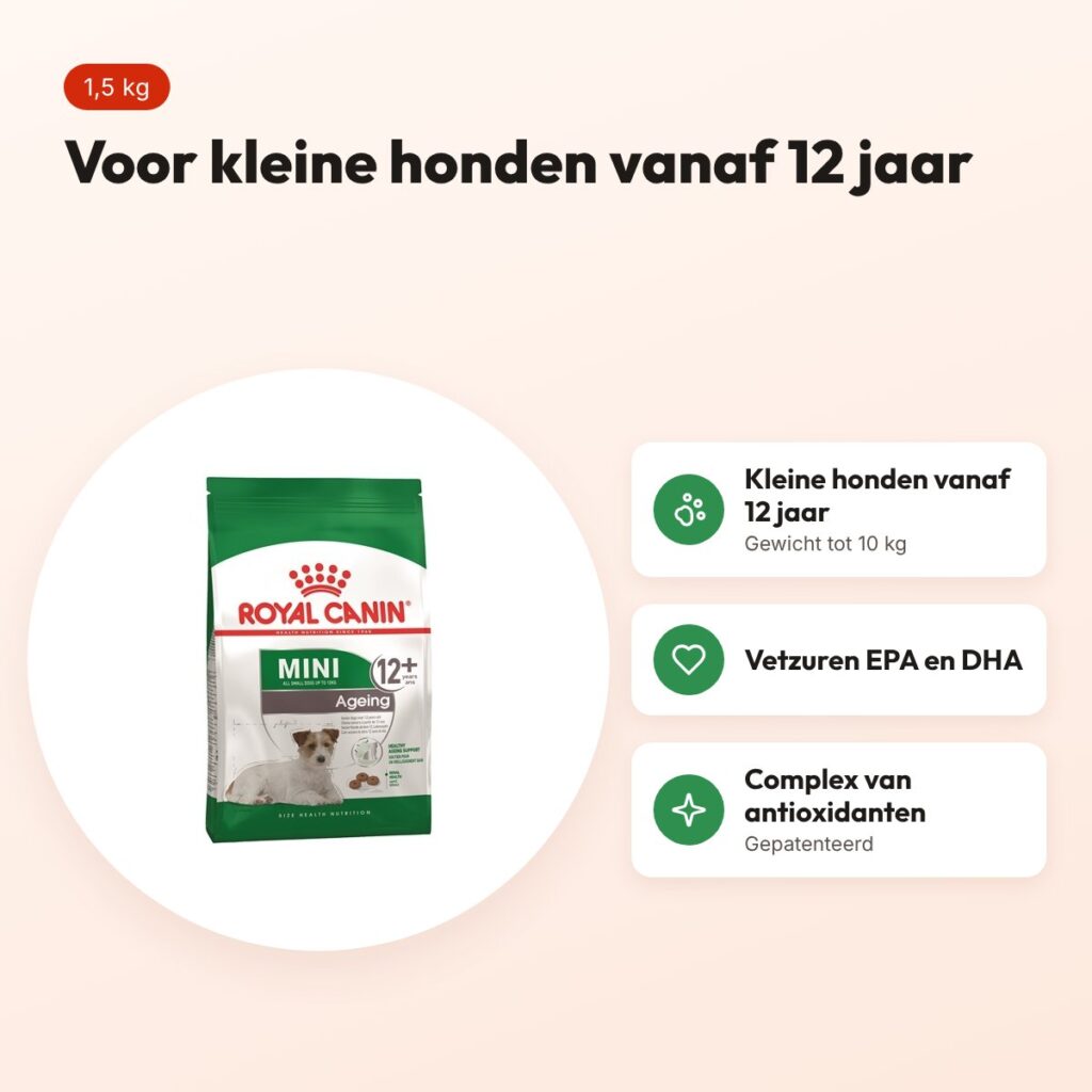 Royal Canin Mini Ageing 12+ hondenvoer 1,5 kg – met antioxidanten – voordelen