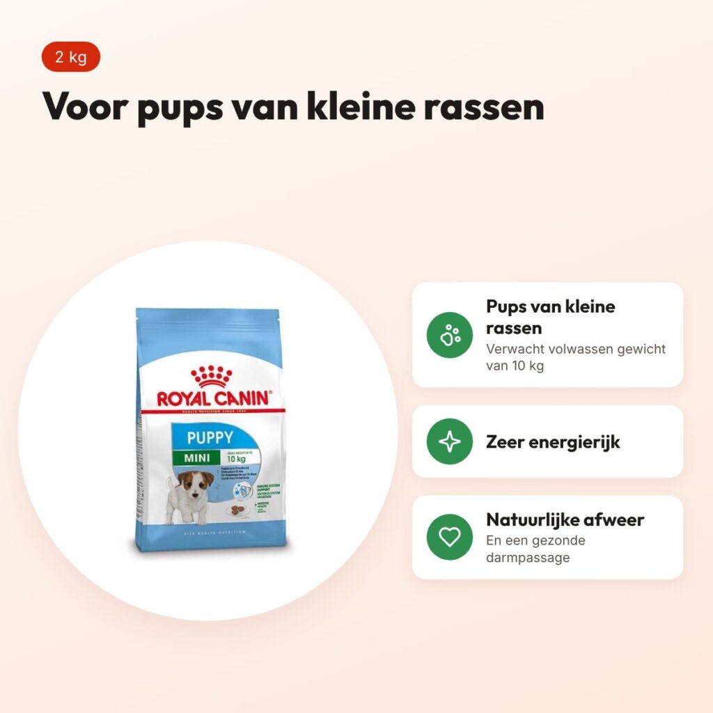 Royal Canin Mini Puppy hondenvoer 2 kg – kleine rassen – voordelen