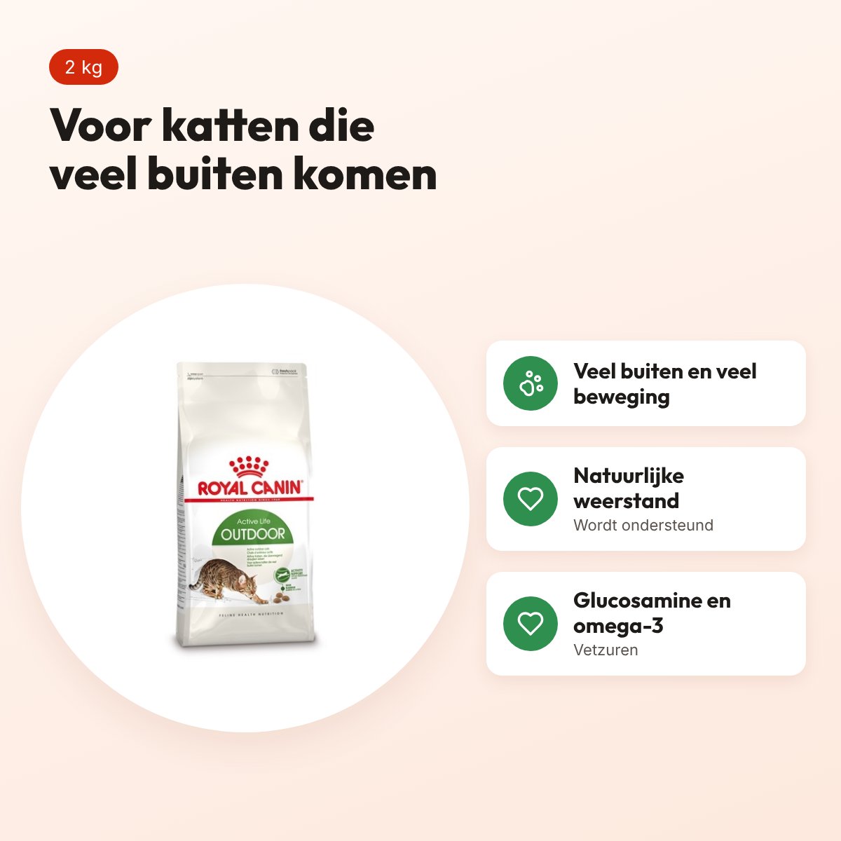 Royal Canin Outdoor kattenvoer 2 kg – voor katten die veel buiten komen – voordelen