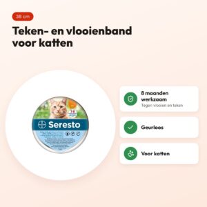 Seresto teken- en vlooienband kat 38 cm – geurloos, 8 maanden werkzaam – voordelen