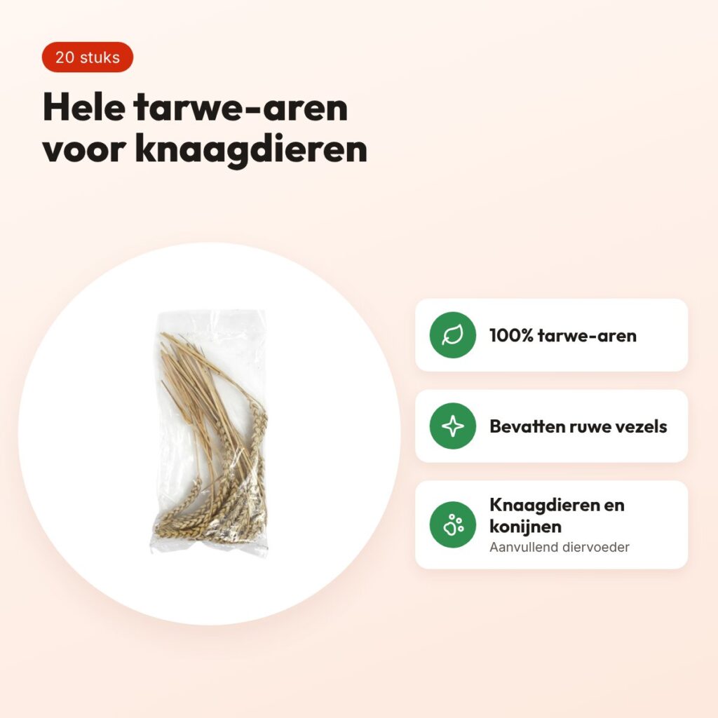 Tarwe-aren voor knaagdieren en konijnen 20 stuks – snack – voordelen