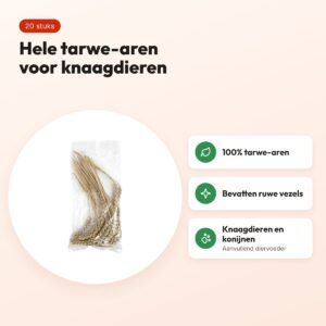 Tarwe-aren voor knaagdieren en konijnen 20 stuks – snack – voordelen