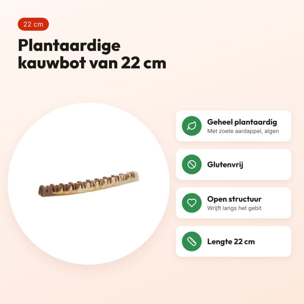 Trixie Denta Fun Veggie Jaw Bone 22 cm – plantaardige kauwsnack – voordelen