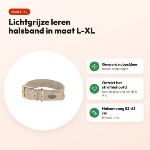 Trixie halsband hond Pure leer lichtgrijs L-XL 52-63 x 4 cm – voordelen
