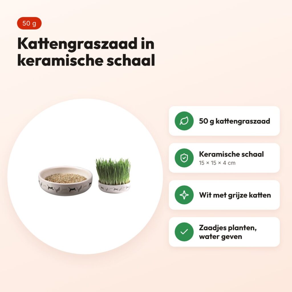 Trixie kattengraszaad 50 g in keramische schaal 15 x 15 x 4 cm – voordelen