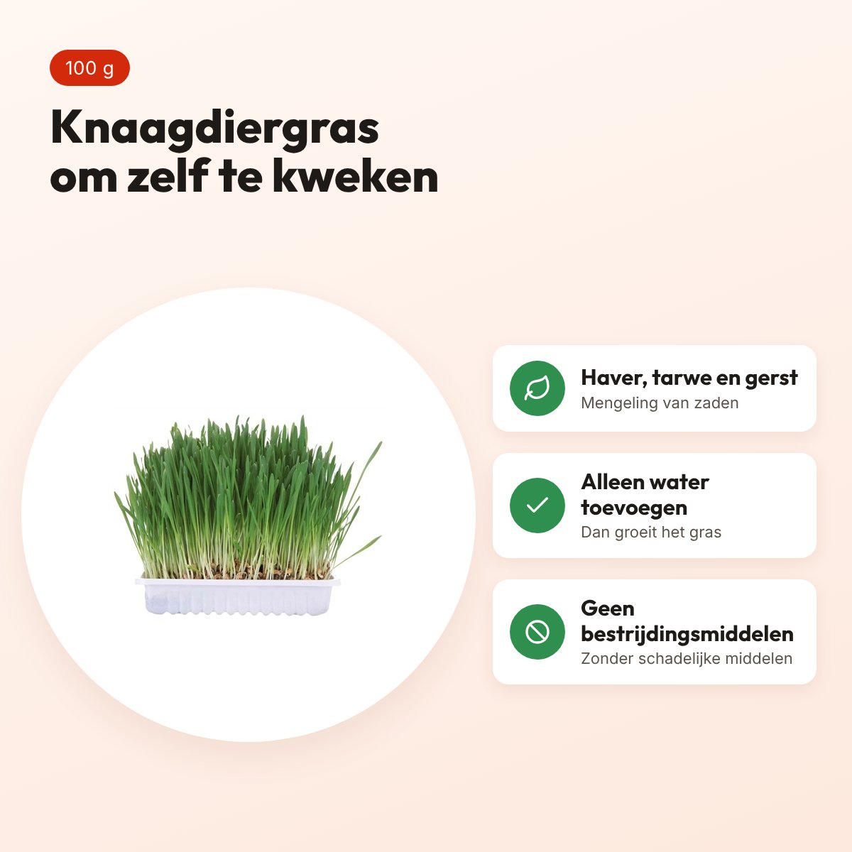 Trixie knaagdiergras 100 g – zaden om zelf te kweken – voordelen