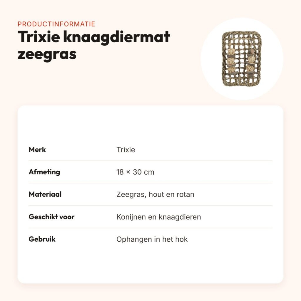 Trixie knaagdiermat van zeegras 18 x 30 cm – met houten en rotan balletjes – productinformatie