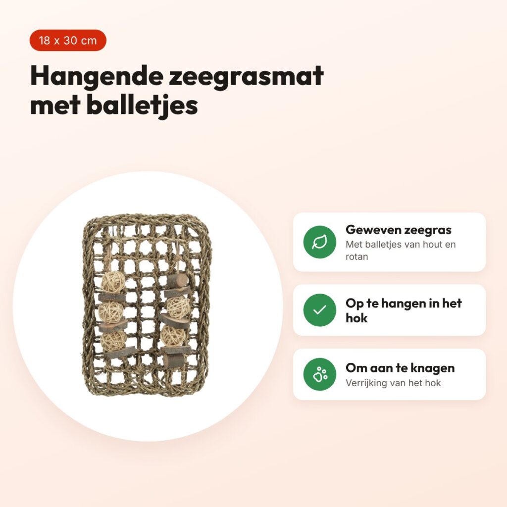 Trixie knaagdiermat van zeegras 18 x 30 cm – met houten en rotan balletjes – voordelen