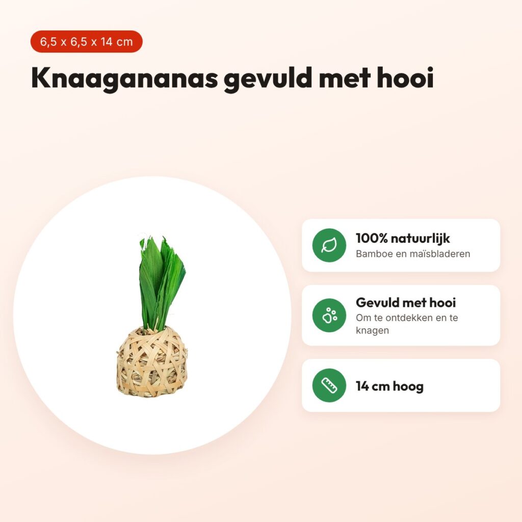Trixie knaagspeelgoed ananas bamboe met maïsbladeren en hooi 14 cm – voordelen