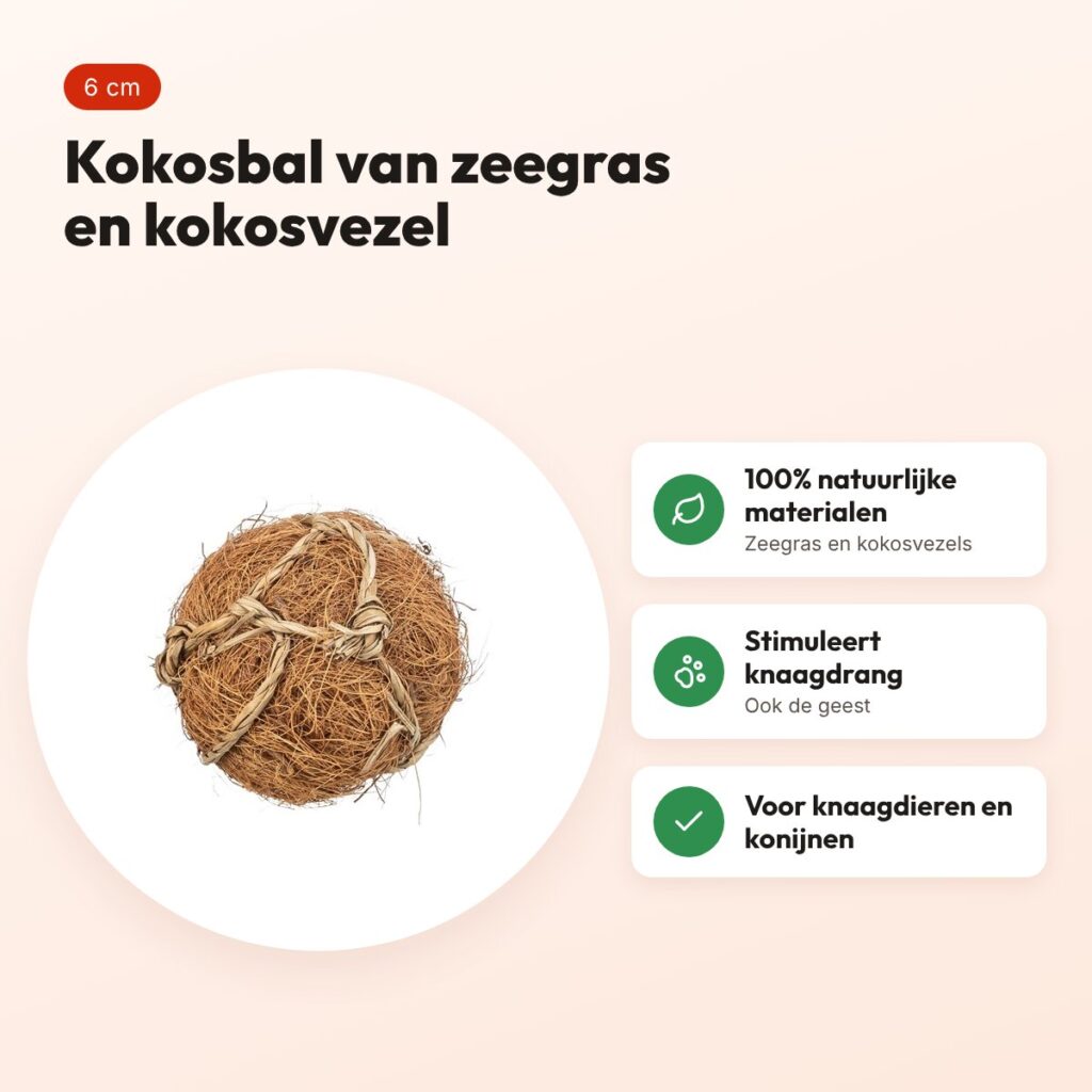 Trixie kokosbal 6 cm – knaagspeelgoed van zeegras en kokosvezel – voordelen