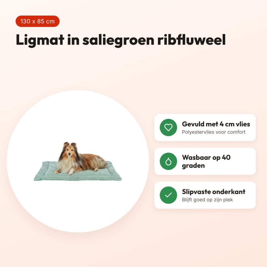 Trixie ligmat Jonna ribfluweel saliegroen 130 x 85 cm – slipvast, wasbaar – voordelen