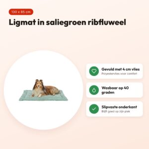 Trixie ligmat Jonna ribfluweel saliegroen 130 x 85 cm – slipvast, wasbaar – voordelen