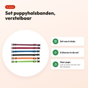 Trixie puppyhalsband set 17-25 cm M-L – 6 stuks, zwart/rood/royalblauw – voordelen