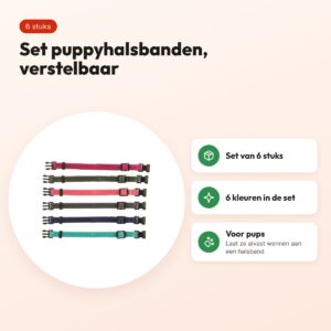 Trixie puppyhalsband set 17-25 cm S-M – 6 stuks, fuchsia/grafiet/indigo – voordelen