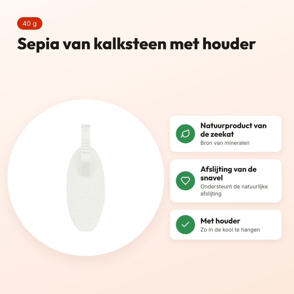 Trixie sepia van kalksteen met houder 40 g – mineralen voor vogels – voordelen