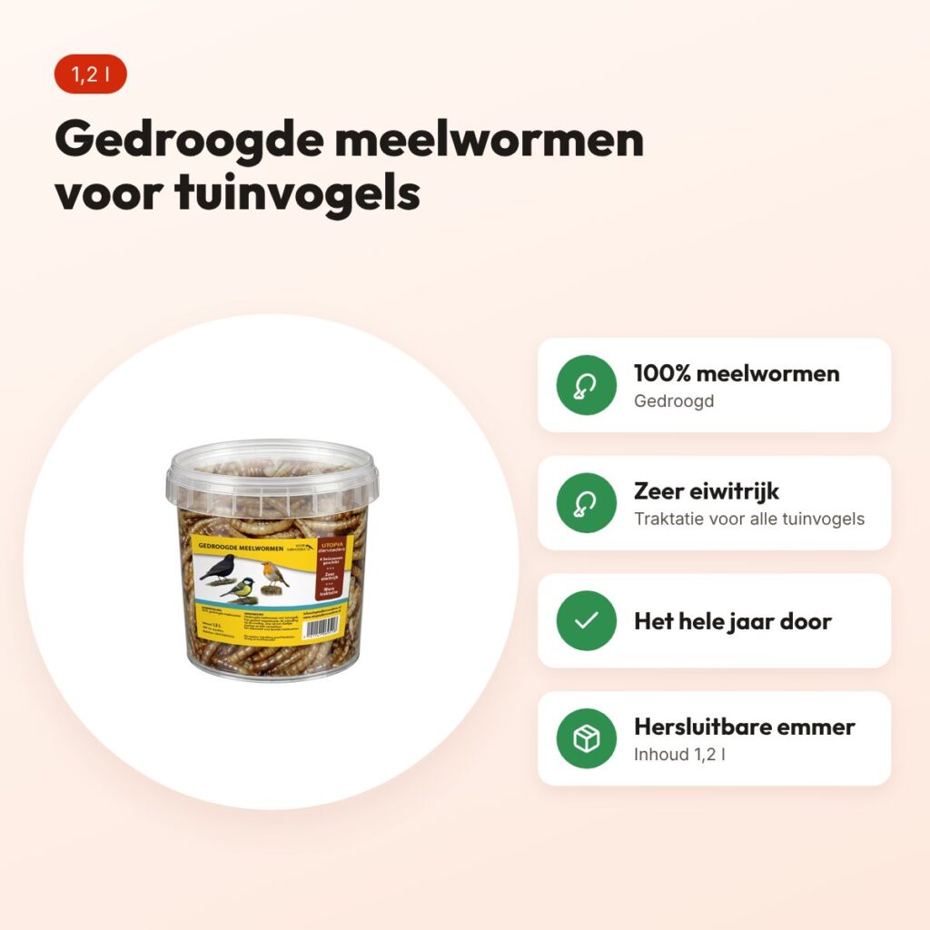Utopia gedroogde meelwormen 1,2 l – voor tuinvogels, in emmer – voordelen