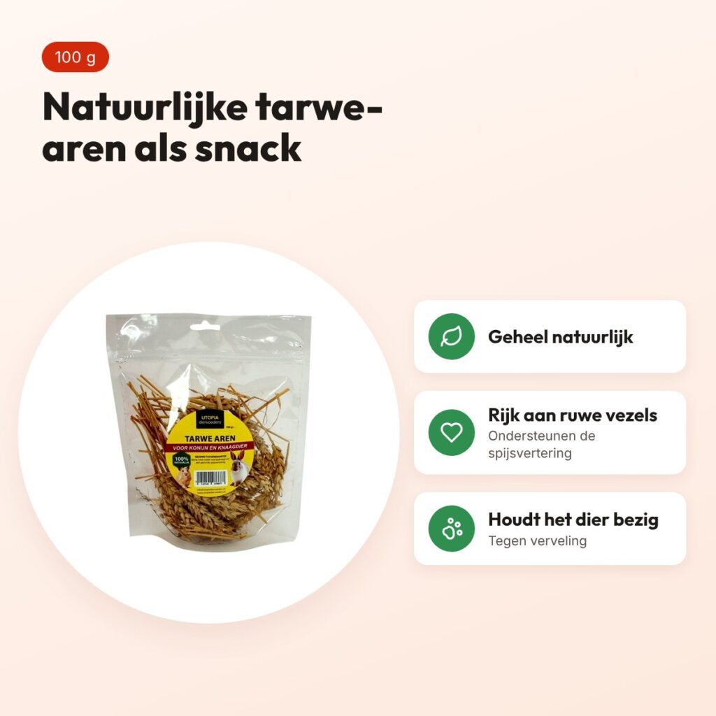 Utopia tarwe-aren 100 g – natuurlijke snack voor konijnen en knaagdieren – voordelen
