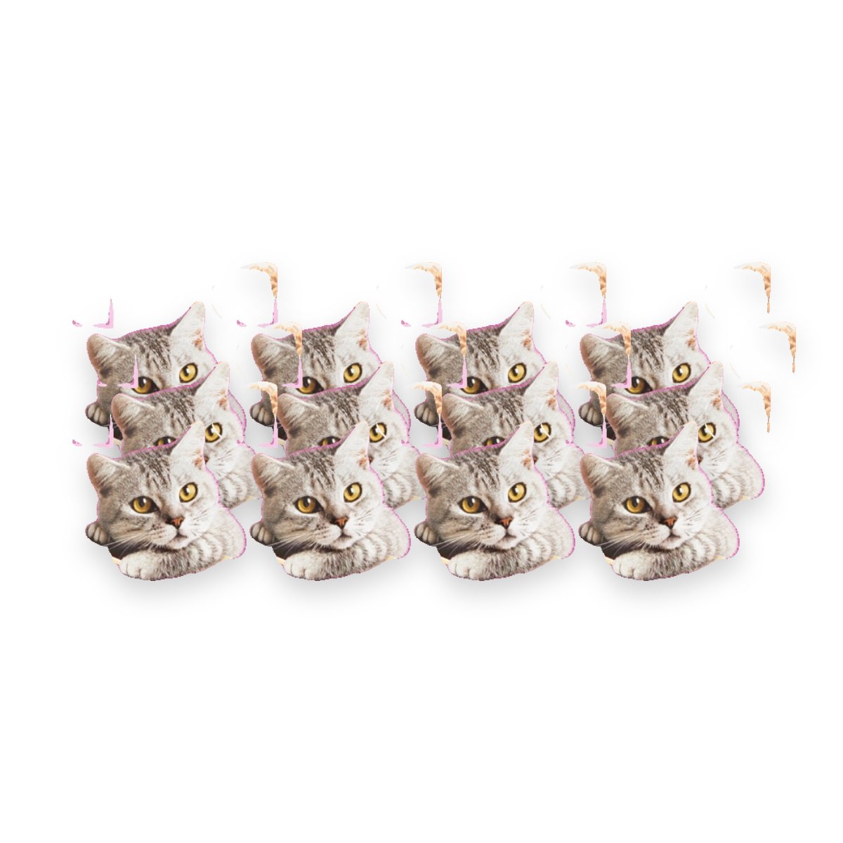 Whiskas blik Adult rund in saus 12 x 400 g – kattenvoer
