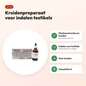 World of Herbs fytotherapie testikels indalen hond 50 ml – voordelen
