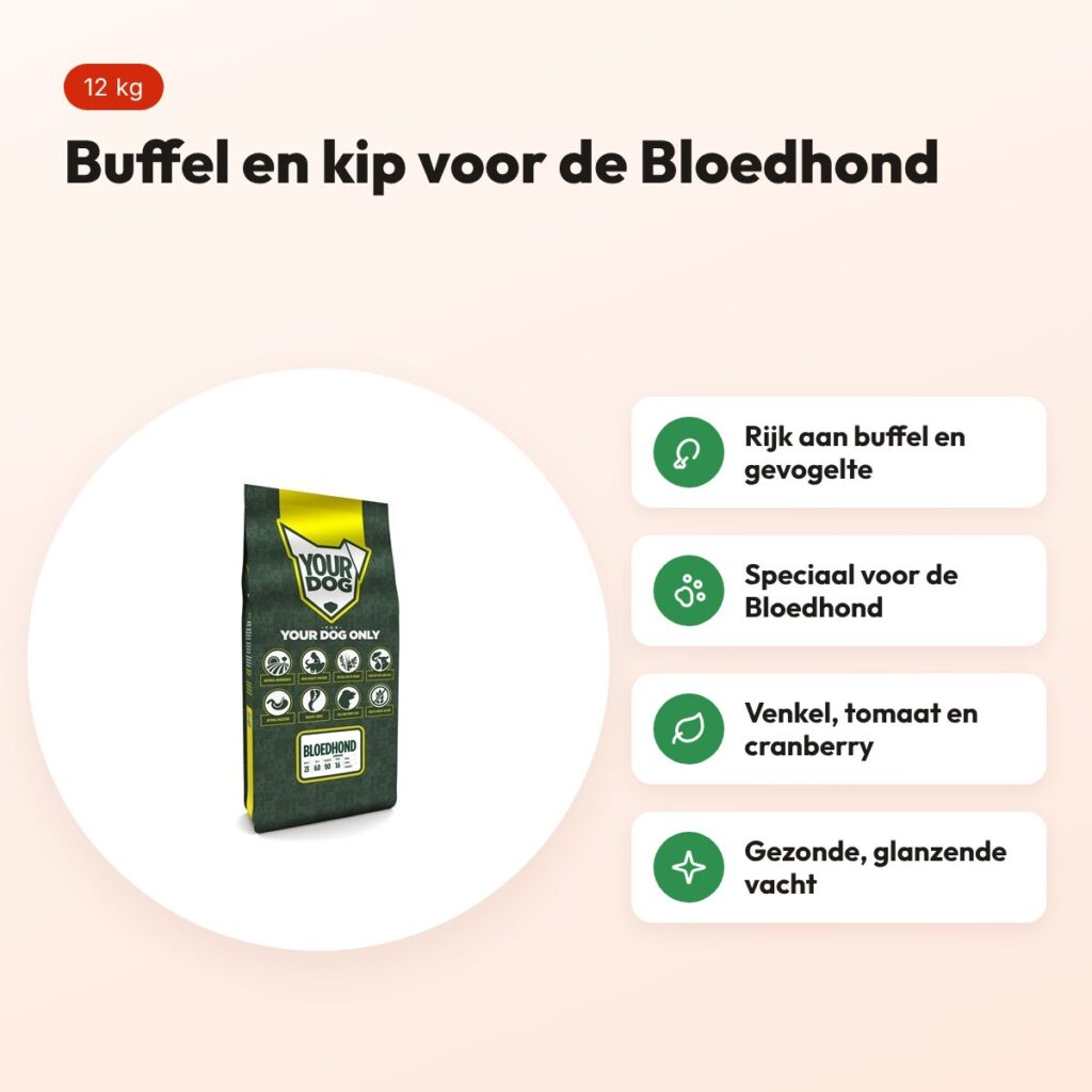 Yourdog hondenvoer Bloedhond Senior 12 kg – buffel en gevogelte – voordelen