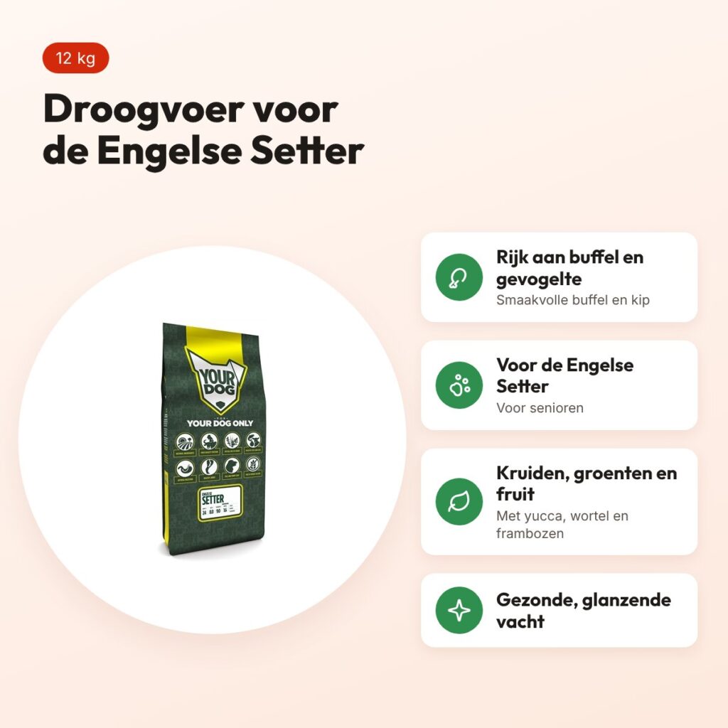 Yourdog hondenvoer Engelse Setter Senior 12 kg – buffel en gevogelte – voordelen