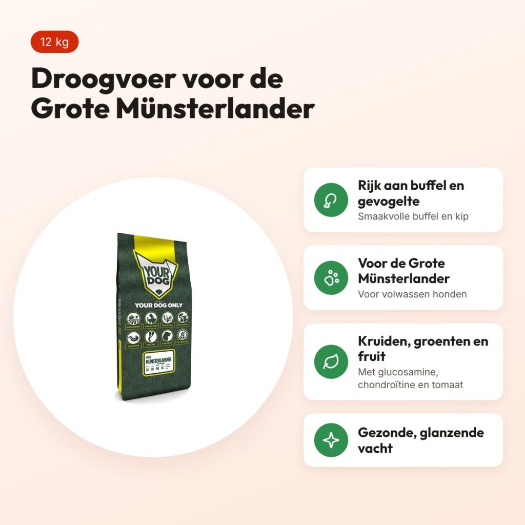 Yourdog hondenvoer Grote Münsterlander Adult 12 kg – buffel en gevogelte – voordelen
