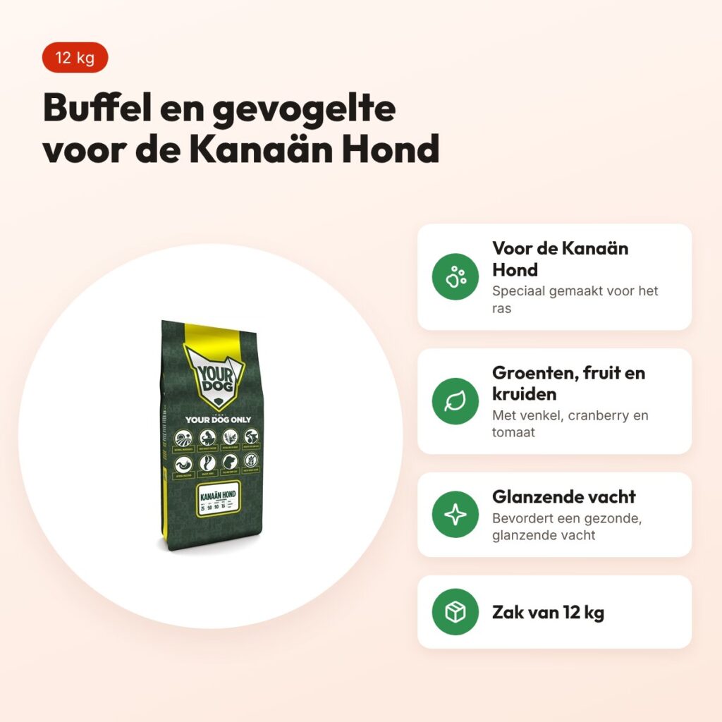 Yourdog hondenvoer Kanaän Hond 12 kg – buffel en gevogelte – voordelen