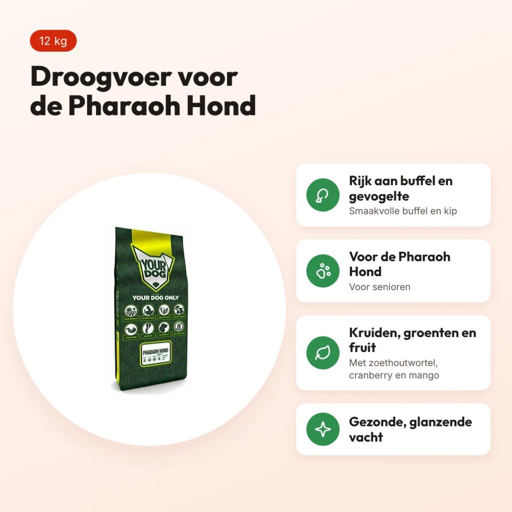 Yourdog hondenvoer Pharaoh Hond Senior 12 kg – buffel en gevogelte – voordelen