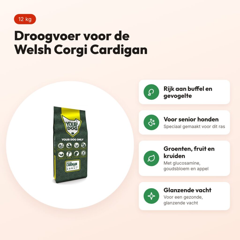 Yourdog hondenvoer Welsh Corgi Cardigan Senior 12 kg – buffel en gevogelte – voordelen