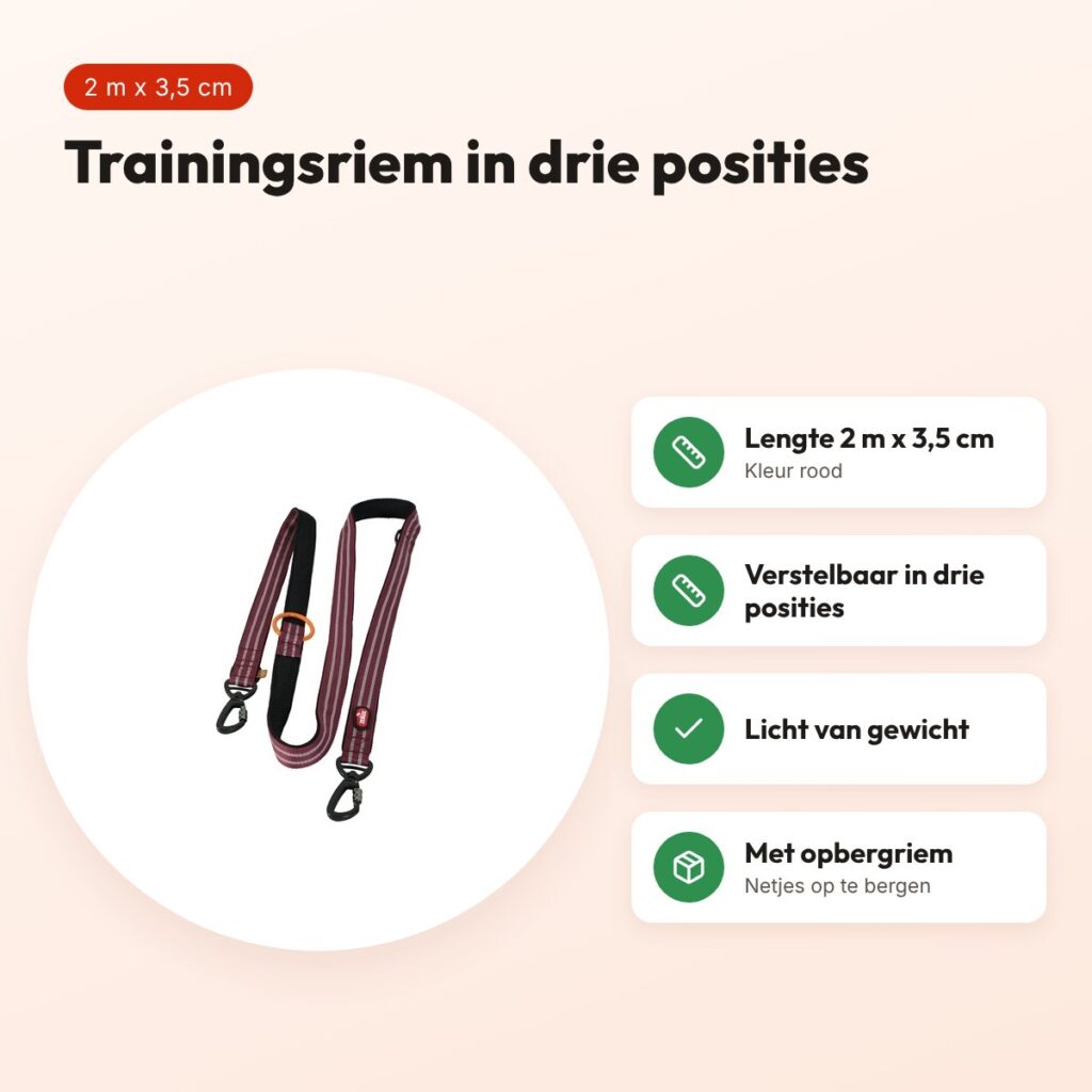 Zolux Bivouak trainingsriem rood 2 m x 3,5 cm – verstelbaar – voordelen