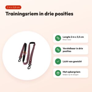 Zolux Bivouak trainingsriem rood 2 m x 3,5 cm – verstelbaar – voordelen