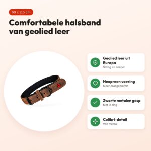 Zolux Expert halsband hond premium leer/neopreen bruin 60 x 2,5 cm – voordelen