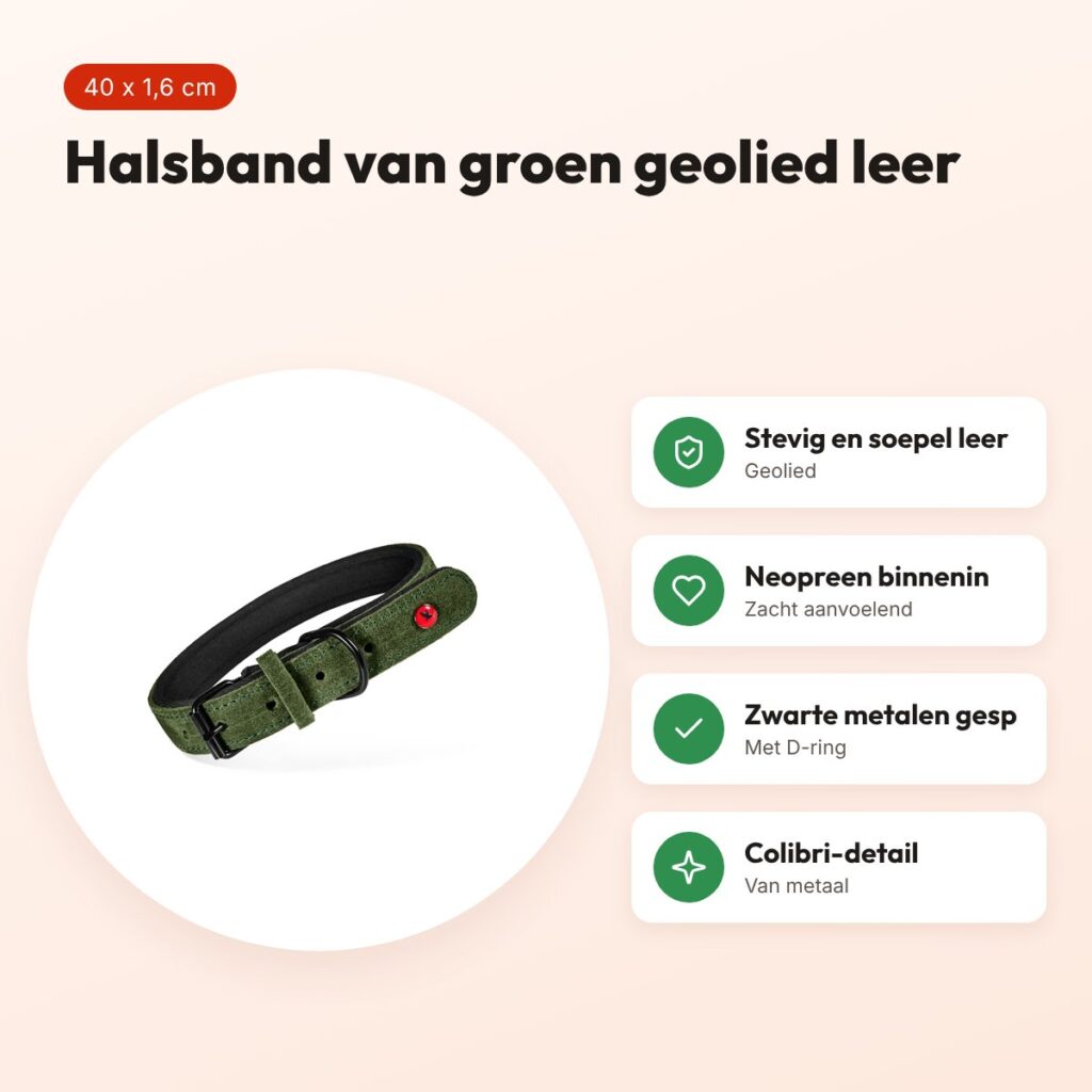 Zolux Expert halsband hond premium leer/neopreen groen 40 x 1,6 cm – voordelen