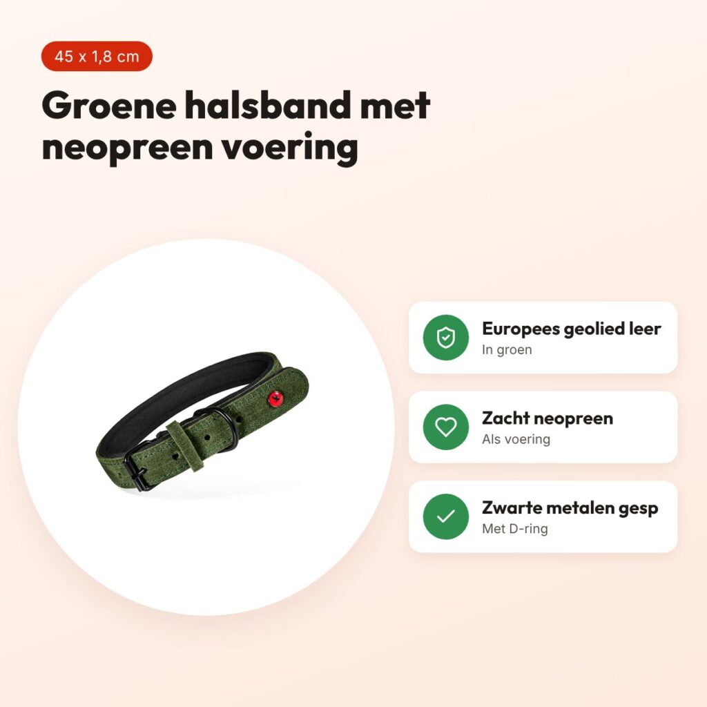 Zolux Expert halsband hond premium leer/neopreen groen 45 x 1,8 cm – voordelen