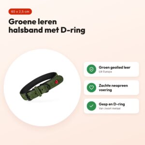 Zolux Expert halsband hond premium leer/neopreen groen 60 x 2,5 cm – voordelen