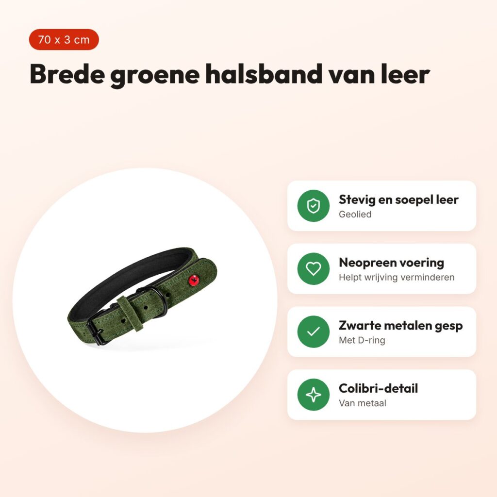 Zolux Expert halsband hond premium leer/neopreen groen 70 x 3 cm – voordelen